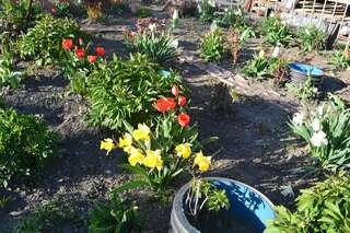 Проживание в семье Ekaterine Guest House Степанцминда Twin Room with Mountain View with Veranda-26