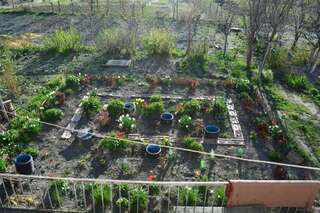 Проживание в семье Ekaterine Guest House Степанцминда Twin Room with Mountain View with Veranda-44